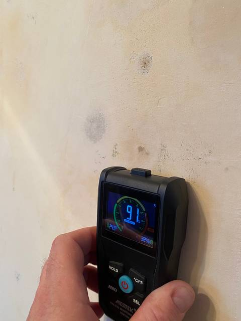 ustranenie pleseni11